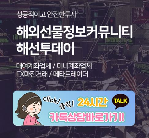 해선투데이 정보통: 해외선물미니계좌 미니업체의 자본 안정성 확인
