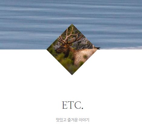 태상의 미니샵이 생활 정보를 다루는 독특한 방식