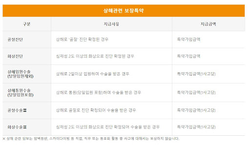 무배당굿앤굿어린이종합보험 보장내용